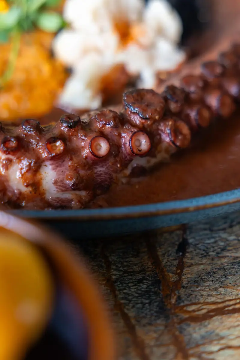 Pulpo del Pacifico, détail